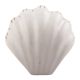 White Sea Shell Ceramic Drawer Knob
